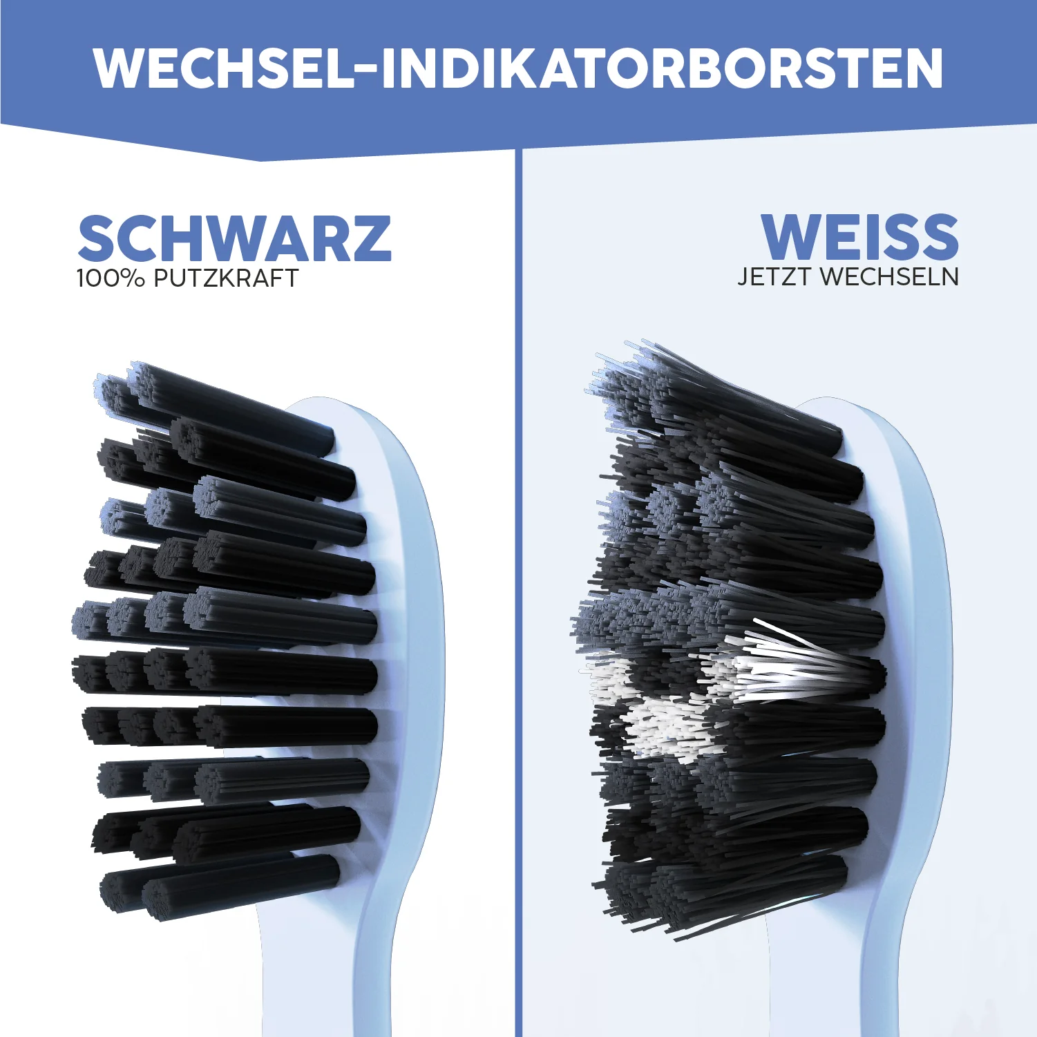 Vorschaubild 10